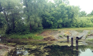 Экологические услуги от ПромМир-Грд в Городце - стоимость от 12148 руб.