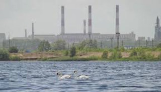 Расчет платы за негативное воздействие на окружающую среду от 20246 руб. | ПромМир-Грд