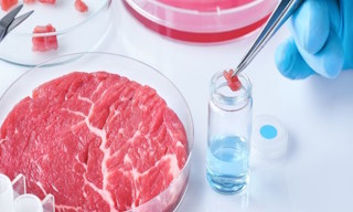 Лабораторный анализ пищевых продуктов по СанПиН в Городце в октябре
