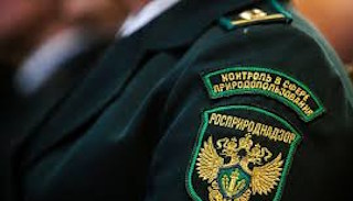 Подготовка к проверке Росприроднадзора в Городце от ПромМир-Грд, стоимость услуги от 20246 руб.